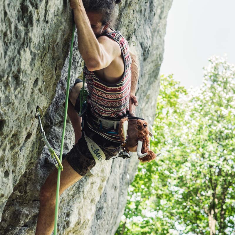 What are the best climbing brands in 2025 and why What are the best climbing brands in 2025 and why