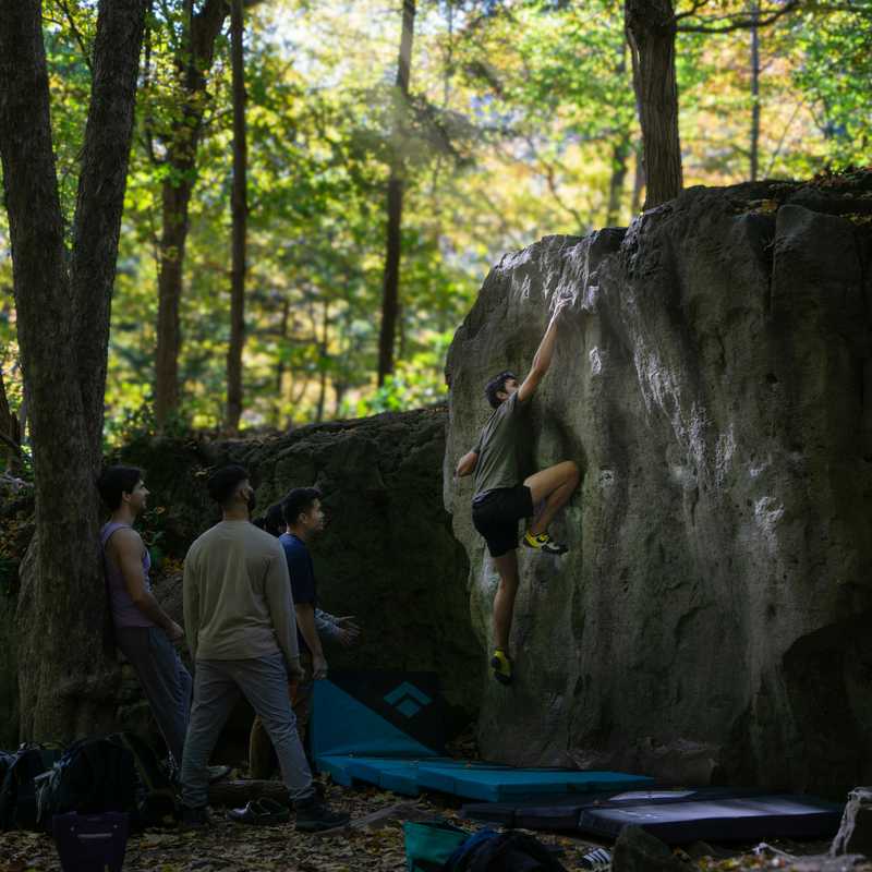 Systems Board vs. Bouldering Sessions: Which is best for you