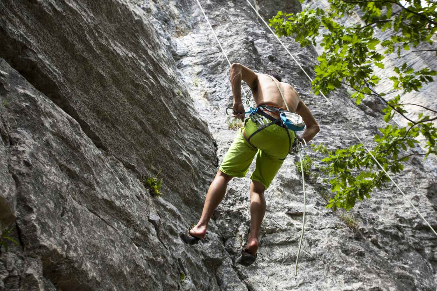 Does being a vegan help my climbing performance